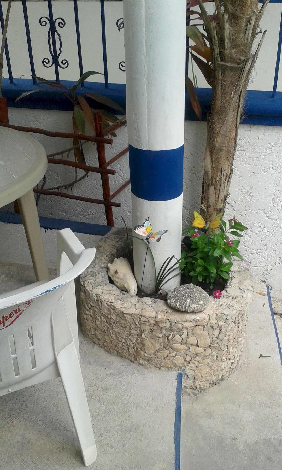 Alicia'S Bed & Breakfast Cozumel Eksteriør billede