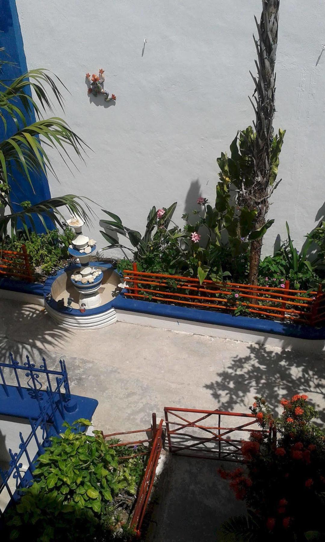 Alicia'S Bed & Breakfast Cozumel Eksteriør billede